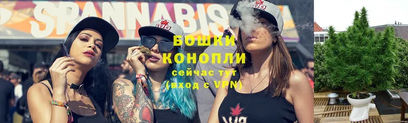 Шишки марихуана SATIVA & INDICA  mega как войти  Макарьев 